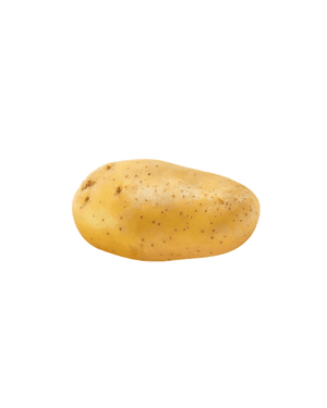FRAMA
