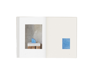 Perception Form Book