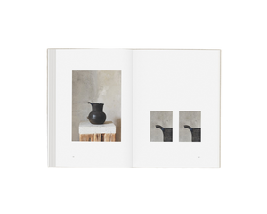 Perception Form Book Special Edition