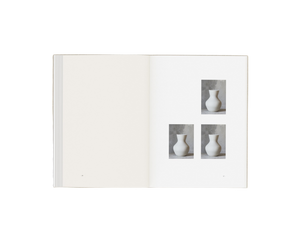 Perception Form Book Special Edition
