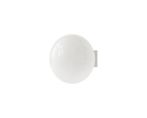 Ovoid Sconce | Stainless Steel