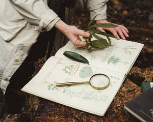 The Botanist: The Story Behind Herbarium