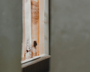 Discovery and Exploration: Natural Material Studio