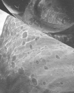 A Thoughtful Guide to Fragrant Spaces