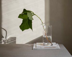 FRAMA 0405 Vase | Clear