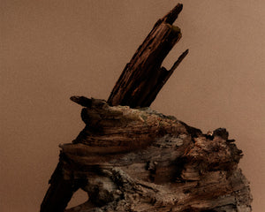 FRAMA Eau de Parfum | St. Pauls | 2.5 mL