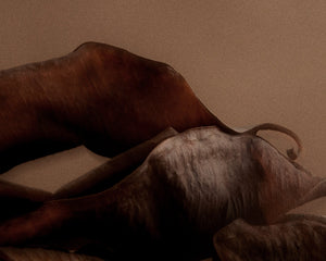 FRAMA Eau de Parfum | 1917 | 2.5 mL