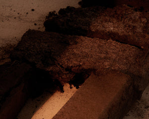 FRAMA Eau de Parfum | Deep Forest | 2.5 mL