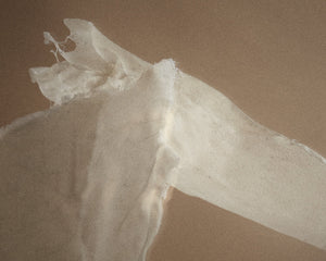 FRAMA Eau de Parfum | Komorebi | 50 mL