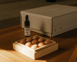 FRAMA Gift Box: From Soil To Form Diffuser + Oil | Deep Forest