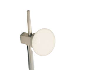 Ovoid Wall Lamp | Stainless Steel | Single